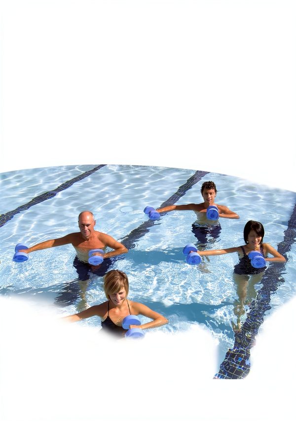 Ulysses Press Aerobics Guide Kindle Edition 194‑Page Fitness Book-0