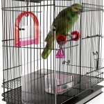 Feathered Phonics The Seed Guard, Small-0