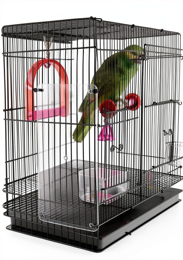 Feathered Phonics The Seed Guard, Small-0