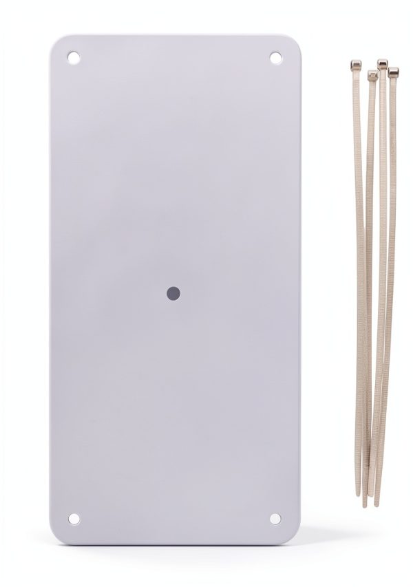 Feathered Phonics The Seed Guard, Small-1